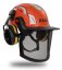 Kask Zenith Combo PL dřevorubecká helma Kask Zenith Combo PL dřevorubecká helma